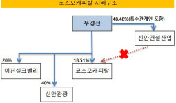 [더벨]우경선 신안건설 회장, 코스모캐피탈 최대주주 됐다