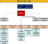 [더벨]평화홀딩스, 오너일가 그룹 지배수단 지주체제