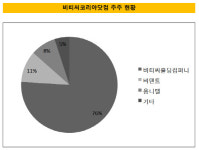 주식회사 비앤케이개발(1) | [더벨]BK컨소, 4000억에 빗썸 인수…지배력 안심할 수 있나