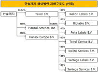 [더벨]한솔제지, 성장판 삼겠다던 샤데스·알앤에스 왜 파나