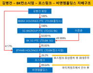 주식회사 비앤케이개발(1) | [더벨]김병건 BK 회장, 포스링크 '비엔엠' 인수 조력자로