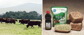 제주흑우 맛의 방주 등재