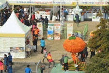 2013서귀포세계감귤박람회 팡파르