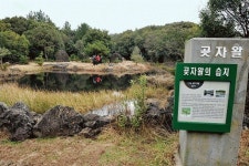 선흘 동백동산습지 생태관광 탄력