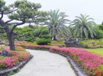 [그곳에 가고 싶다](48)일출랜드