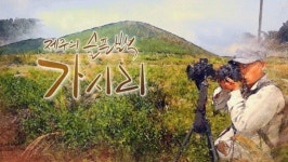 KCTV 제주의 슬픈… SO 우수프로그램 선정