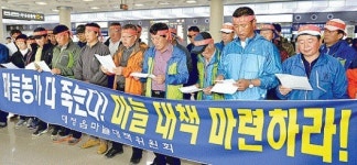 값 폭락 마늘대책 마련하라