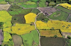 [세계농업유산 제주밭담]제주를 넘어 세계로