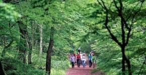 [그곳에 가고 싶다](67)사려니숲길