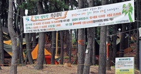 해변 야영장 이용료 받는 근거가 궁금해요