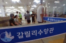 공주 수양관 승용차 돌진… 1명 사망·51명 부상