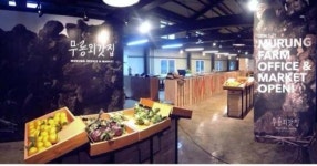 제주 무릉외갓집우수마을기업 선정