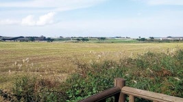 [길 路 떠나다]붉은오름자연휴양림