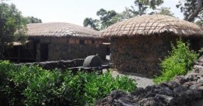 추사 유배지에 김정희 동상 설치 논란