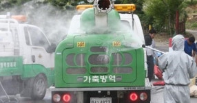 구제역 확산 비상…진천 이어 천안서도 의심신고