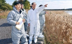 제주서도 AI 바이러스 방역 비상