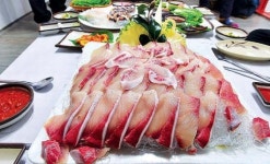 [당찬 맛집을 찾아서](88)제주시 도남동 삼바리회센터