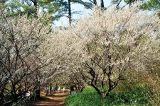 [그곳에 가고 싶다](16)한림공원