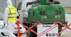 제주지역 구제역 예방 접종 구멍