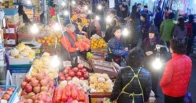 농산물 가격 폭락 실패한 농정 성토