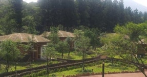 붉은오름자연휴양림무료 개방