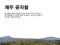 [카드뉴스]제주곶자왈의 소중함