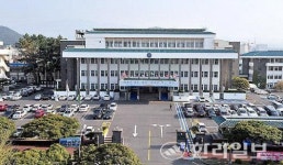 인사, 재정, 개발사업 부적정 사례 만연