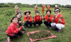 서귀포시 마을축제자기만의 색깔 찾기