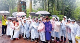 비 내리는 사려니숲길서 에코힐링