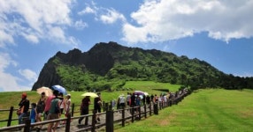 성산일출봉 탐방객 증가는 오히려 독
