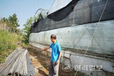 제주한란 자생지 보호사업 부실 의혹