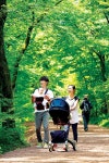 ‘치유 명상의 숲’으로 초대합니다