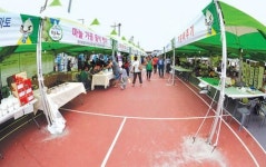 축제한다며 멀쩡한 체육공원 바닥에 구멍