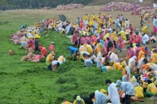 곱닥한 제주 바당 만들기