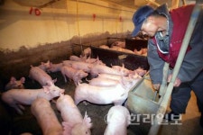 축산업계 잇단 쟁점의 중심서 속앓이
