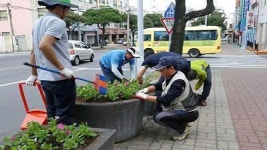 삼도1동 사계절 꽃피는 마을 만들기