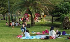 감귤박물관에서 가을 체험학습 하세요