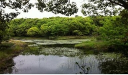 조천읍·서귀포시 람사르 습지도시 인증 후보