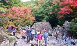[제주섬 글로벌 에코투어](15)법정사~건천 탐방~시오름~한라산둘레길~어점이오름입구~산록도로