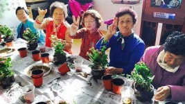 서귀포종합사회복지관 어르신 원예교실