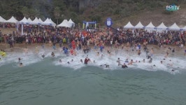 제16회 서귀포 겨울바다 펭귄수영대회