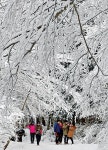 사려니숲길에 급수시설 들어선다