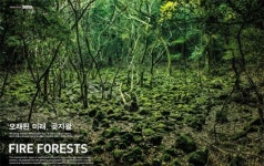 대한항공 모닝캄 제주 집중 조명