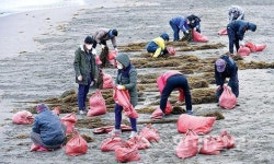 해양쓰레기 종합처리장 결국 없던 일로