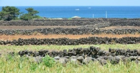 [창간27주년][세계농업유산 2주년 ‘제주밭담’ 무엇을 할 것인가](1)프롤로그