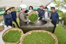 즐거운 수제차 만들기