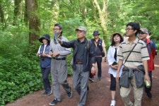 생명과 소멸의 숲, 인간의 삶도 마찬가지