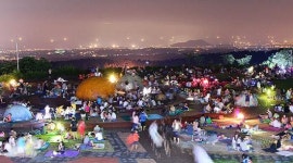 제주별빛누리공원 유성우 관람 인파