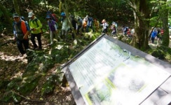 [2016제주섬 글로벌 에코투어](8)5·16도로~효명사~선돌계곡~선돌~한라산둘레길~백록계곡~5·16도로