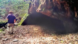 [길 路 떠나다]11일 개통하는 남원 의귀마을 4·3길